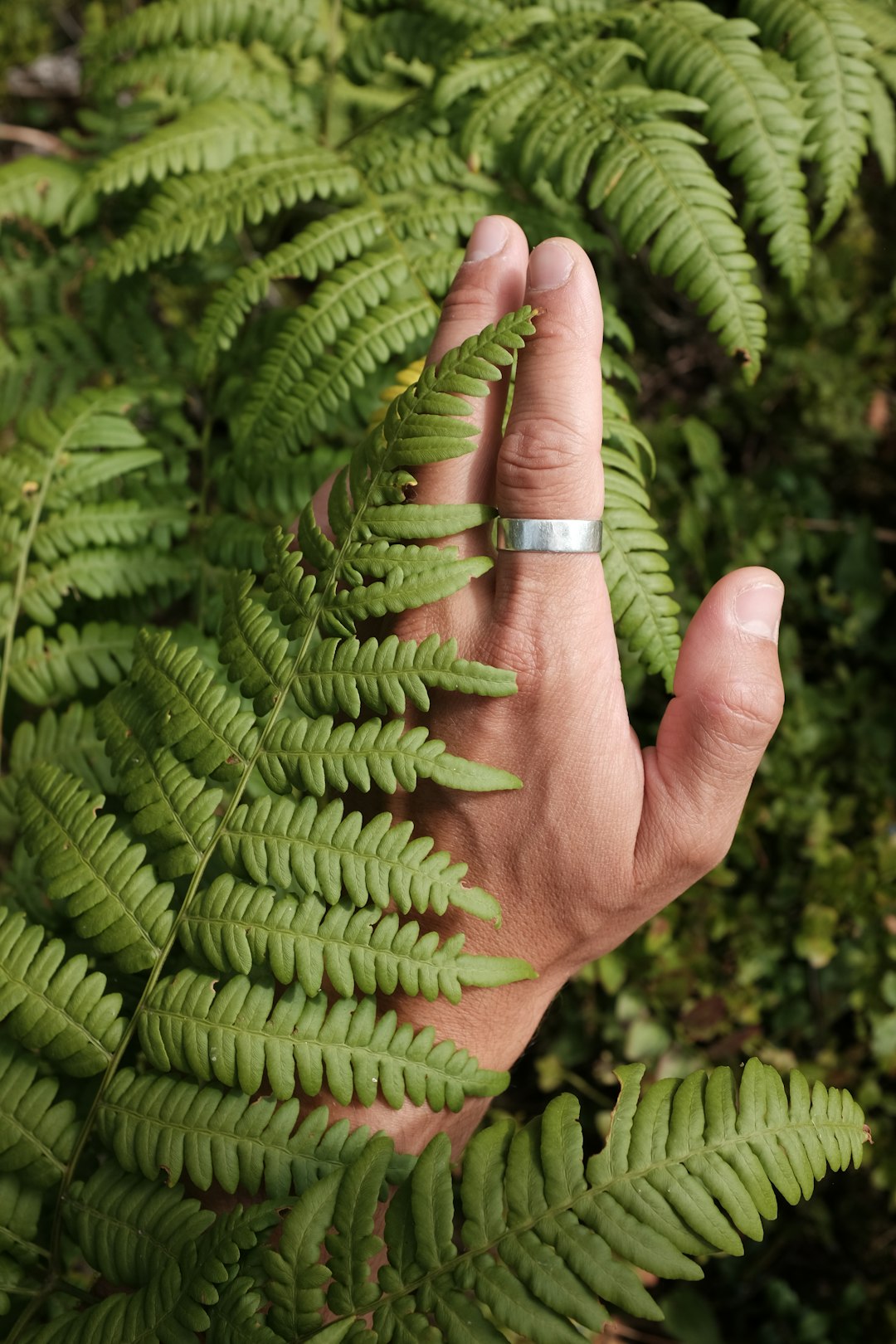 a-persons-hand-with-a-ring-on-it-nqtbm-cg7pk