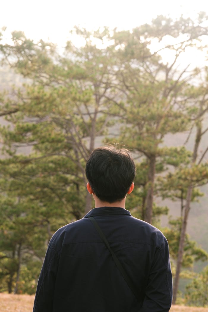 A man stands facing a lush green forest, captured in warm daylight from behind.
