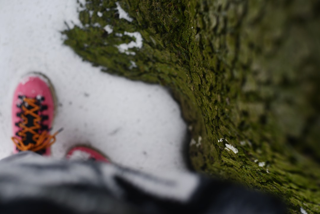 pink-hiking-boot-on-snowy-ground-next-to-mossy-tree-418eee0bsh0